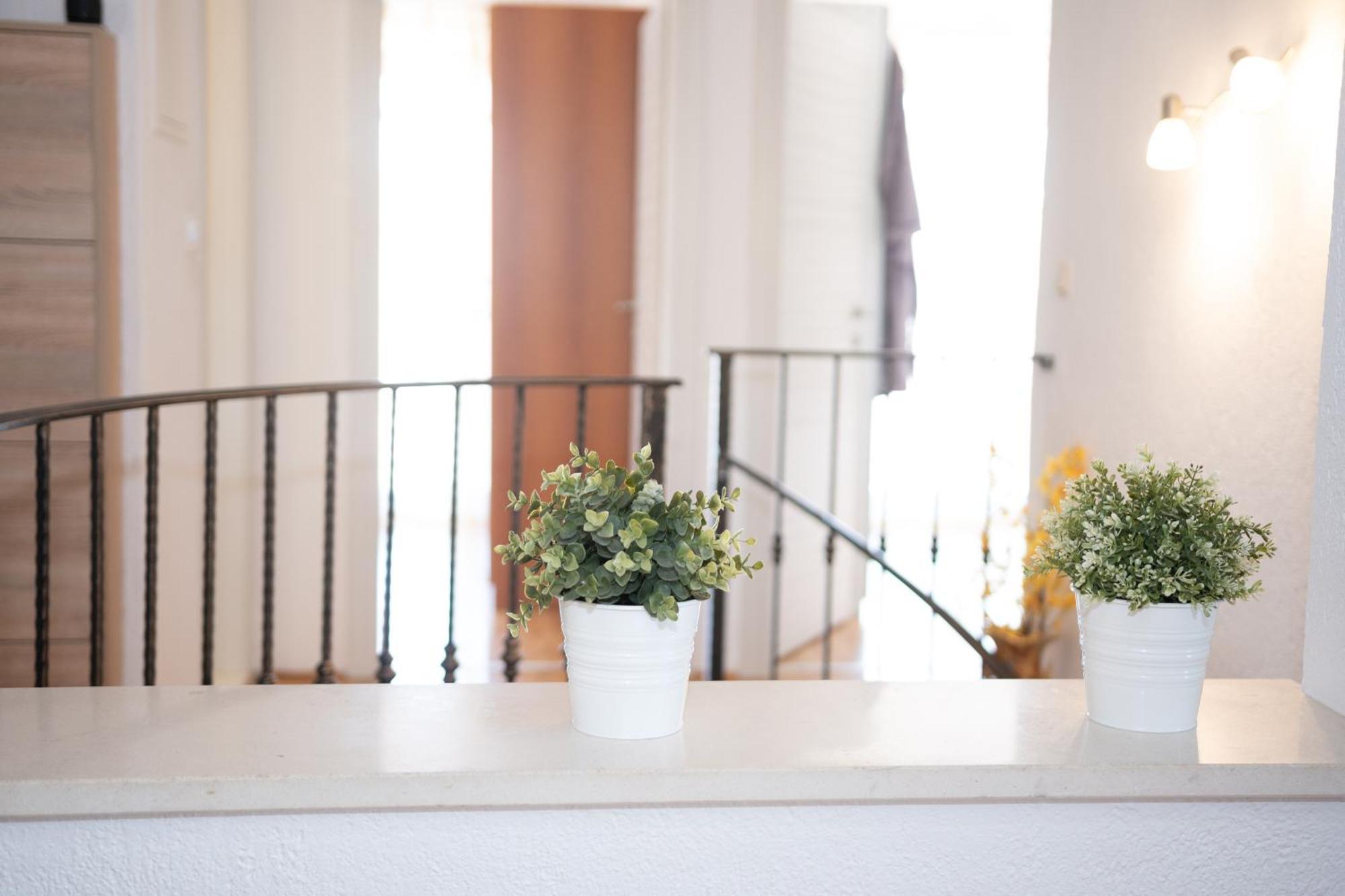 Spacious Villa For 10 With A Big Private Pool Trilj エクステリア 写真